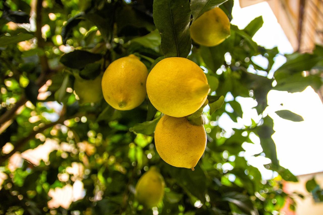 Fior Di Limone Appartement Sestri Levante Buitenkant foto