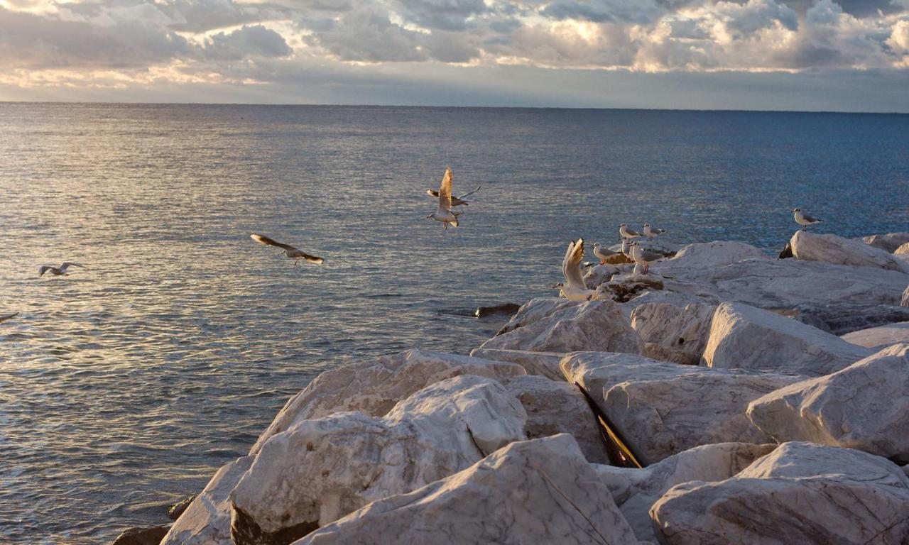Fior Di Limone Appartement Sestri Levante Buitenkant foto